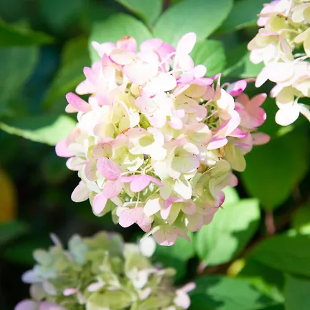 Schloss Rauchenbichl * זלצבורג