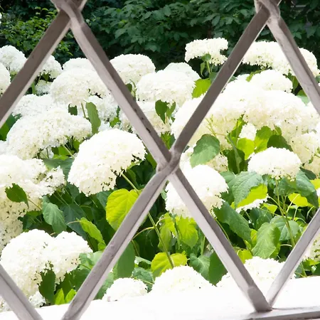 Schloss Rauchenbichl Apartment *