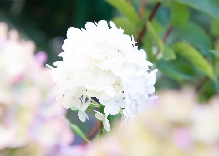 Appartement Schloss Rauchenbichl Salzburg