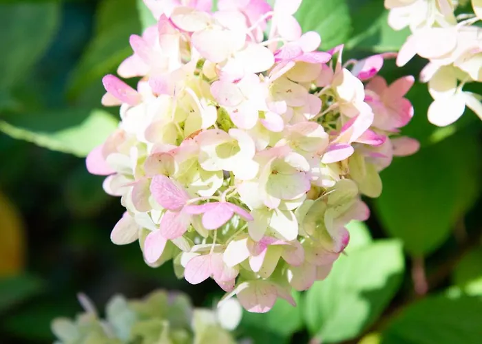 Schloss Rauchenbichl * Salzburg