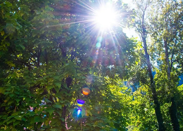 Schloss Rauchenbichl Salisburgo